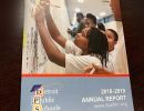 dpsf annual report 2019